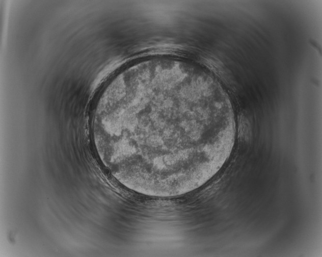 X0000100901164200807220945