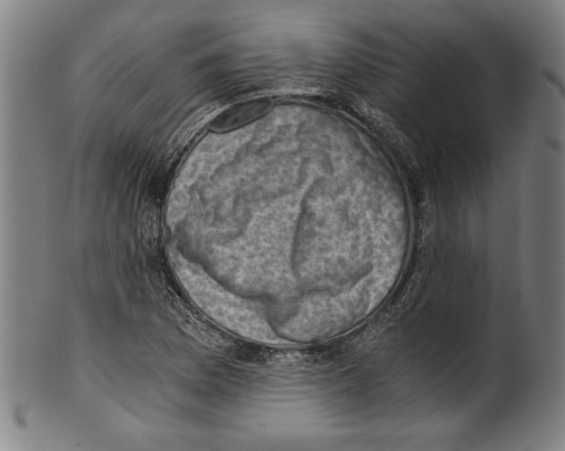 X0000100901169200807220944