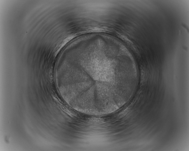 X0000100901170200807220944