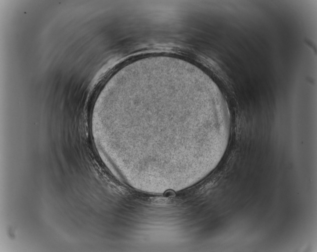 X0000100901172200807220944