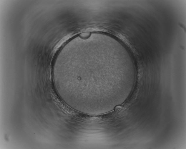 X0000100901173200807220944