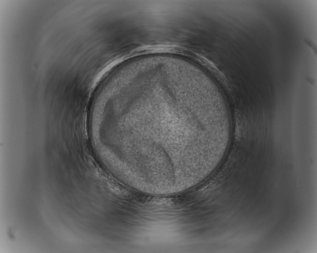 X0000100901174200807220944