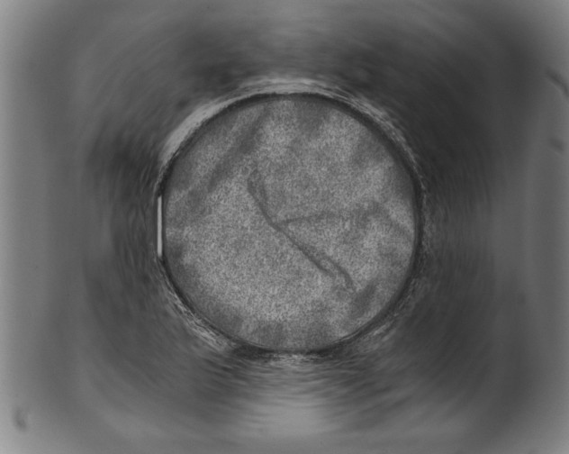 X0000100901175200807220944