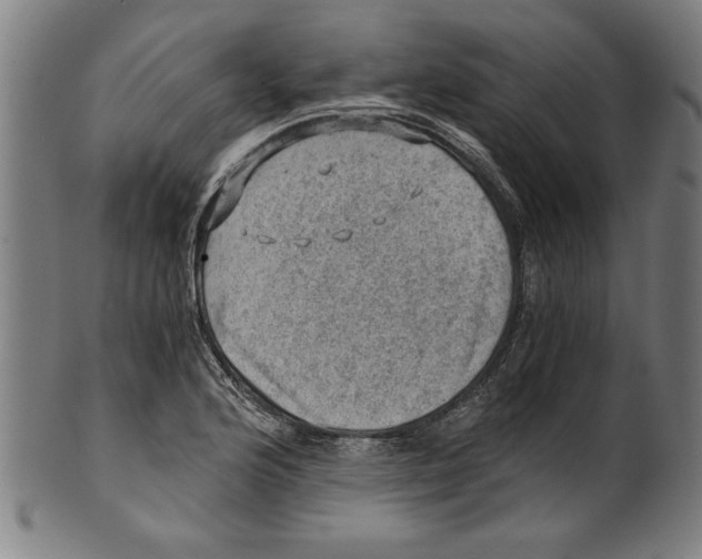 X0000100901176200807220944