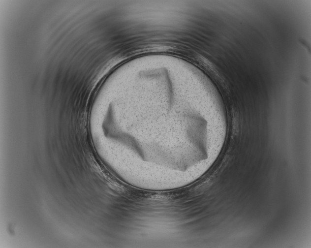 X0000100901178200807220944