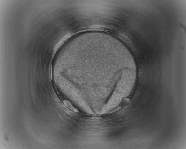 X0000100901180200807220944