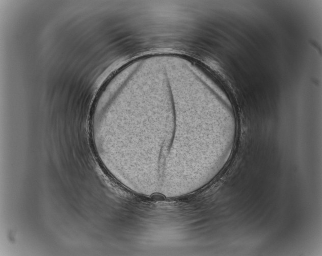 X0000100901181200807220944