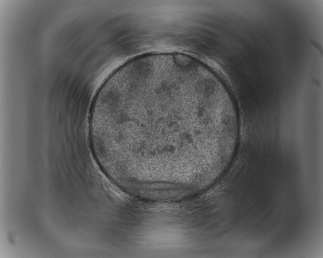 X0000100901183200807220944