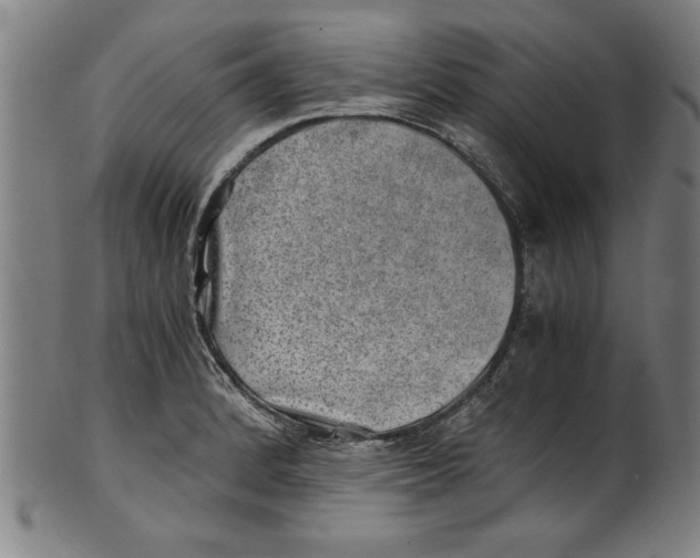 X0000100901184200807220944