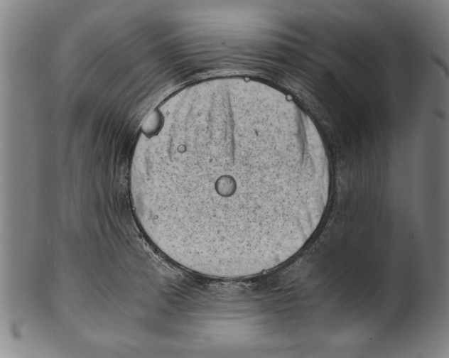 X0000100901185200807220944