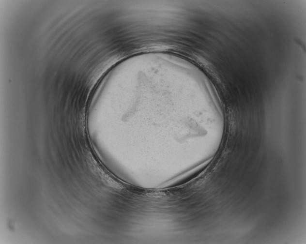 X0000100901186200807220944