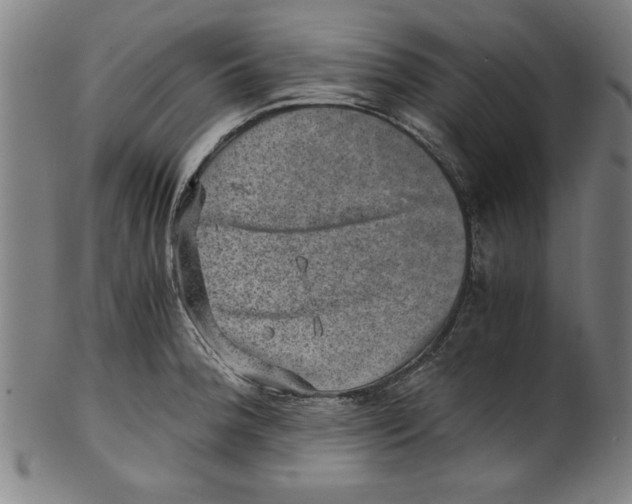 X0000100901188200807220944