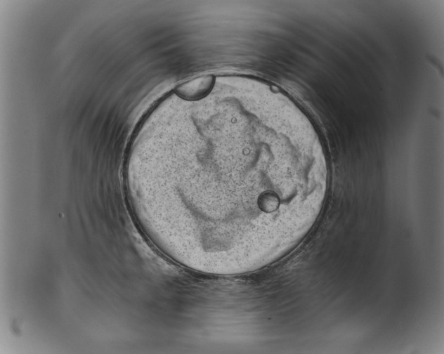 X0000100901189200807220944