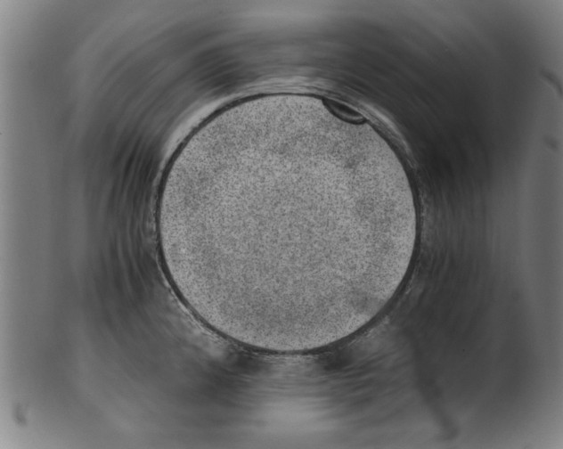 X0000100901192200807220944