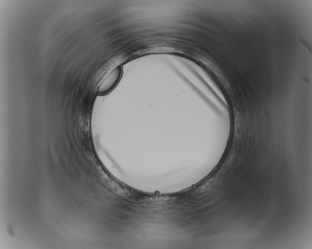 X0000100901193200807220944