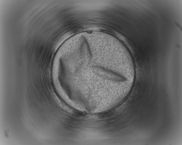 X0000100901194200807220944