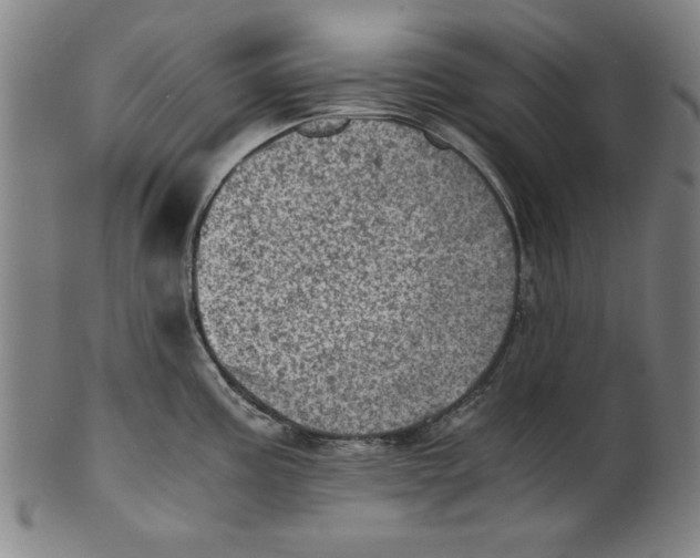 X0000100901195200807220944