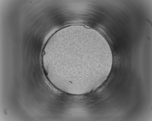 X0000100901196200807220944