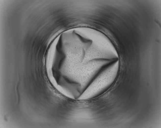 X0000100901198200807220944