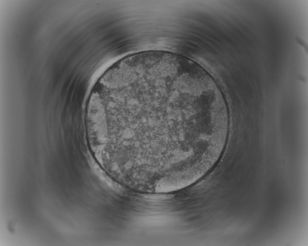 X0000100901200200807220944