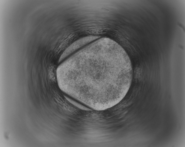 X0000100901202200807220943