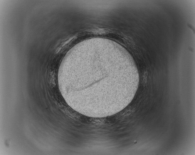 X0000100901205200807220943