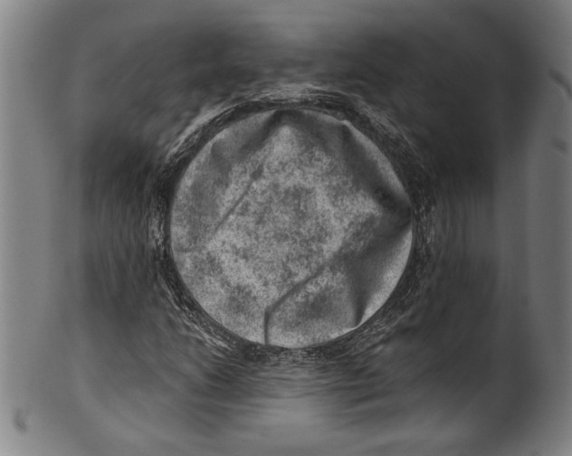 X0000100901206200807220943