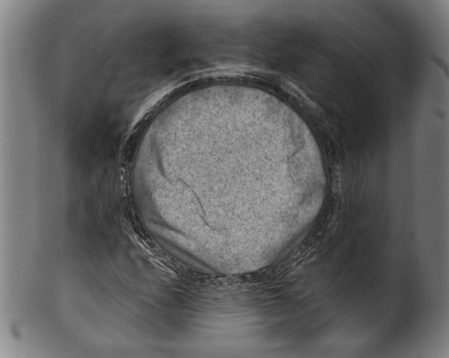 X0000100901208200807220943