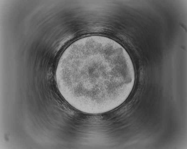 X0000100901210200807220943