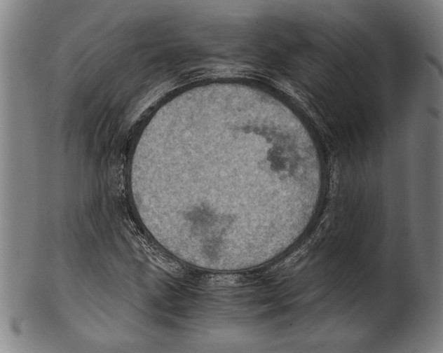 X0000100901211200807220943