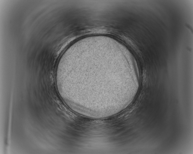 X0000100901212200807220943