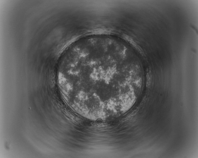 X0000100901213200807220944