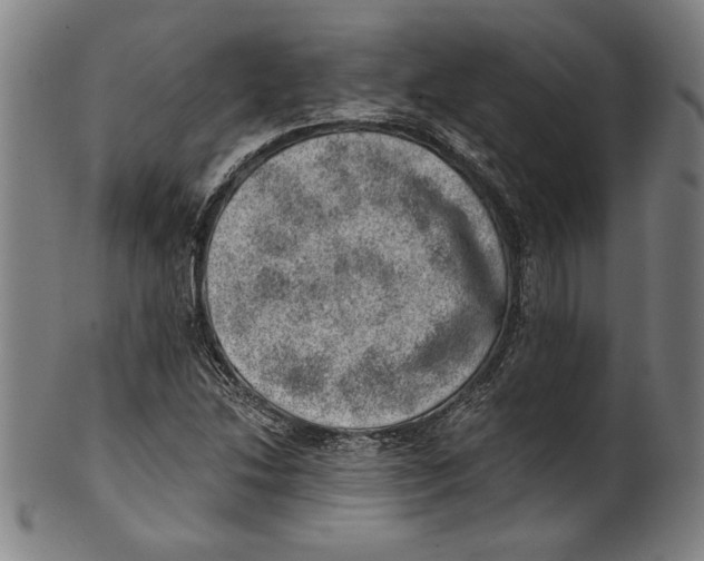 X0000100901214200807220944