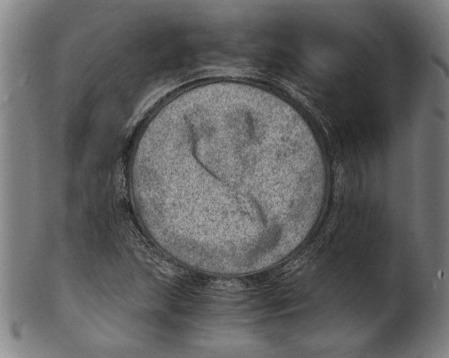 X0000100901215200807220944