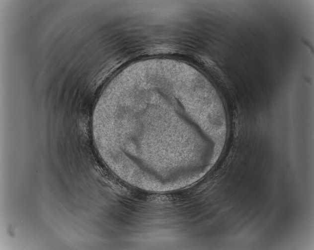 X0000100901217200807220944