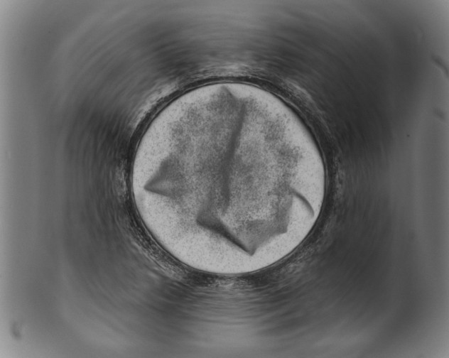 X0000100901218200807220944