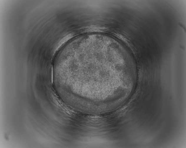 X0000100901219200807220944