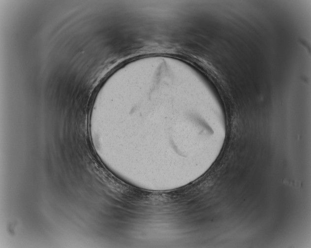 X0000100901220200807220944