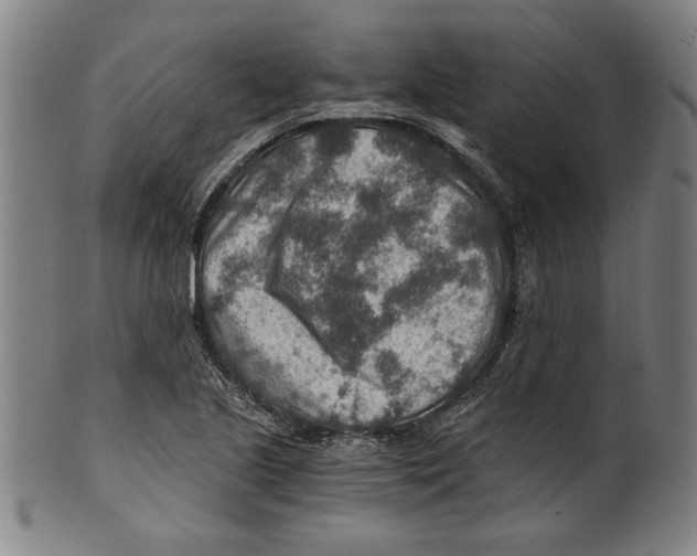 X0000100901221200807220944