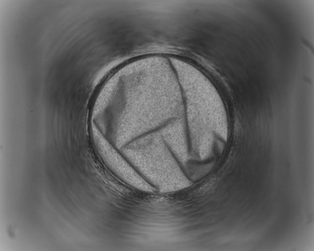 X0000100901222200807220944