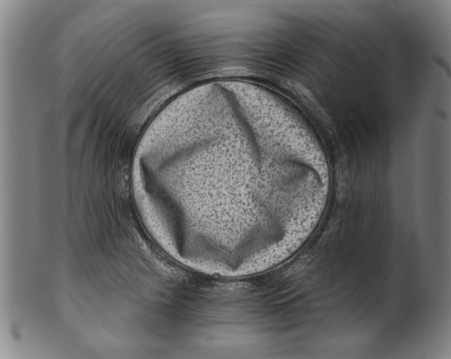 X0000100901225200807220944