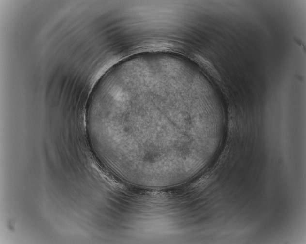 X0000100901226200807220944