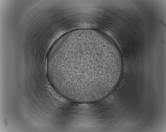 X0000100901227200807220944