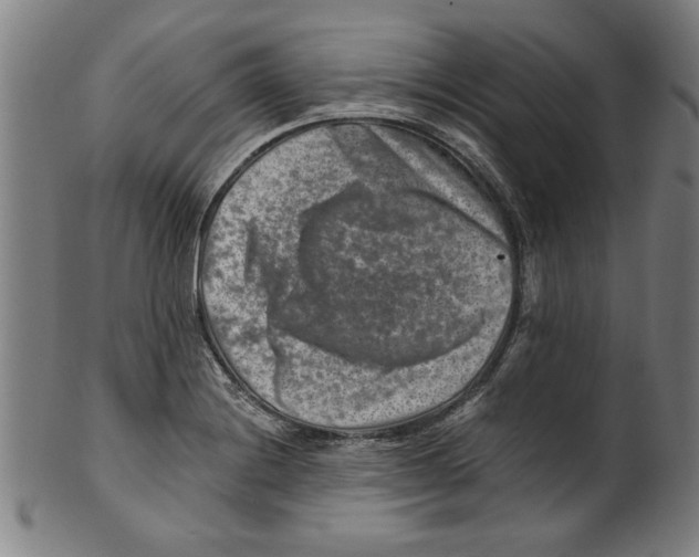 X0000100901228200807220944