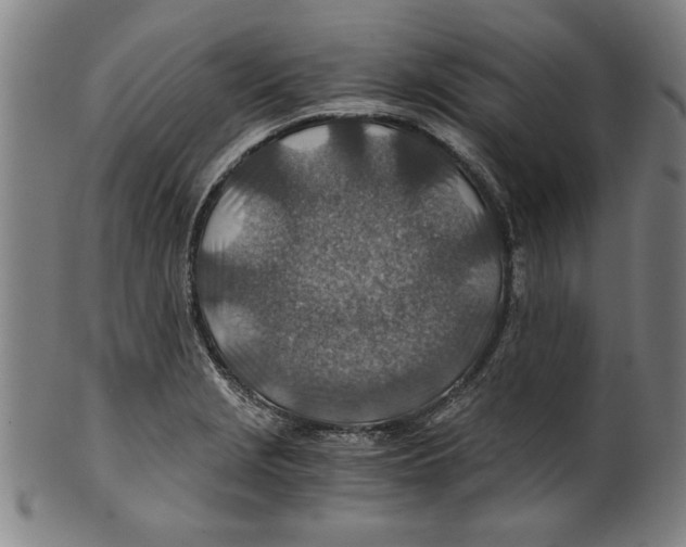 X0000100901229200807220944