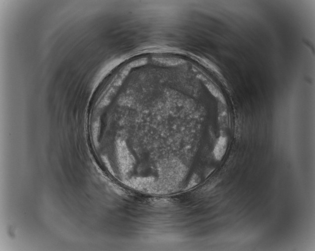 X0000100901231200807220944