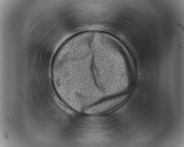 X0000100901232200807220944