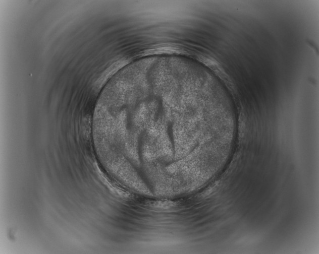 X0000100901233200807220944