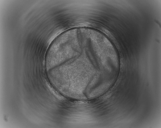 X0000100901234200807220944