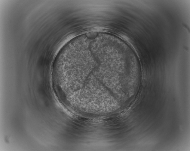 X0000100901235200807220944